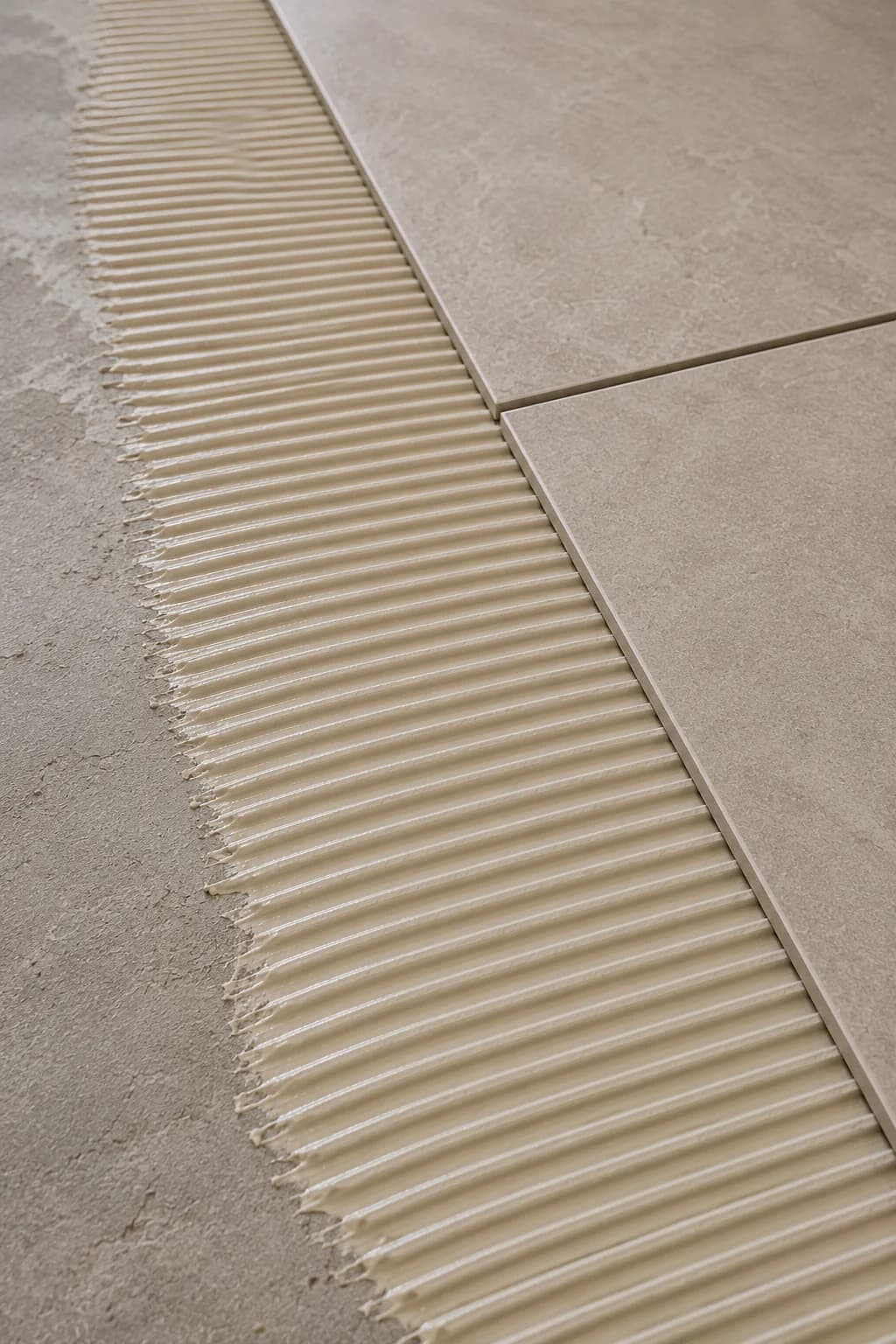 Carpet